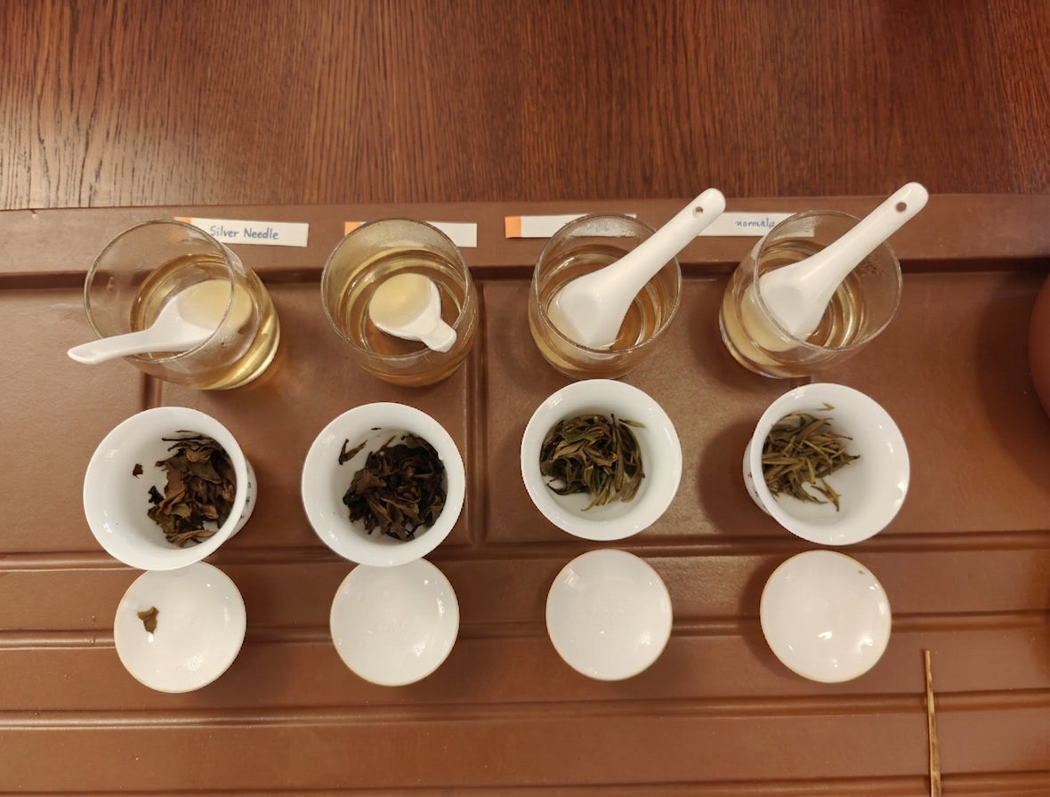 Jul 18 | Foundation Workshop: Understanding Chinese Tea
