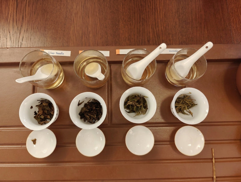 Sep 26 | Foundation Workshop: Understanding Chinese Tea